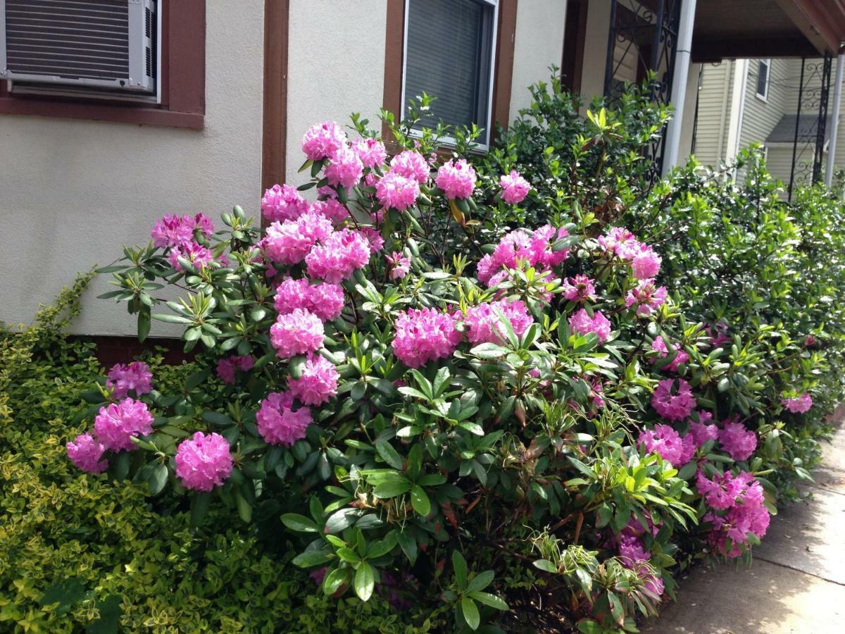 Bowers House Bnb Harvard Mit Cambridge Boston Somerville Exteriör bild
